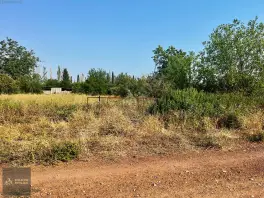 Tomalarda Fırsat Arsa 694 m² Villa Parseli — fotoğraf 3