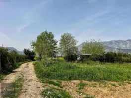Döşemealtı Orta Mahallede, Yatırımlık Nar Bahçesi — fotoğraf 1
