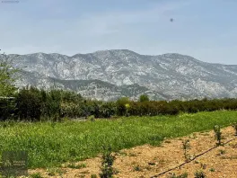 Döşemealtı Orta Mahallede, Yatırımlık Nar Bahçesi — fotoğraf 11