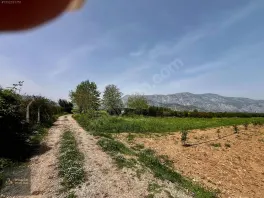Döşemealtı Orta Mahallede, Yatırımlık Nar Bahçesi — fotoğraf 13