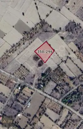 Korkuteli Bozova Kocaanbar'da 3.490 m² Verimli Tarla — fotoğraf 1