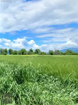 Korkuteli Bozova Kocaanbar'da 3.490 m² Verimli Tarla — fotoğraf 9