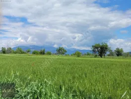 Korkuteli Bozova Kocaanbar'da 3.490 m² Verimli Tarla — fotoğraf 10